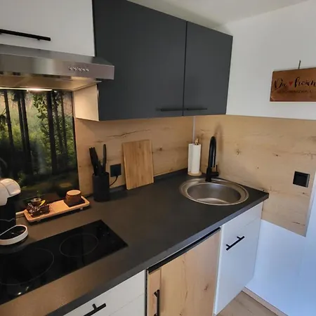Gretel Apartment Schoenwald im Schwarzwald